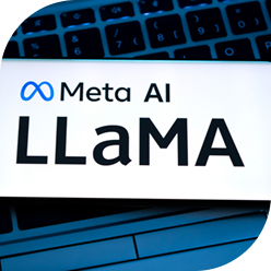LLaMA Models